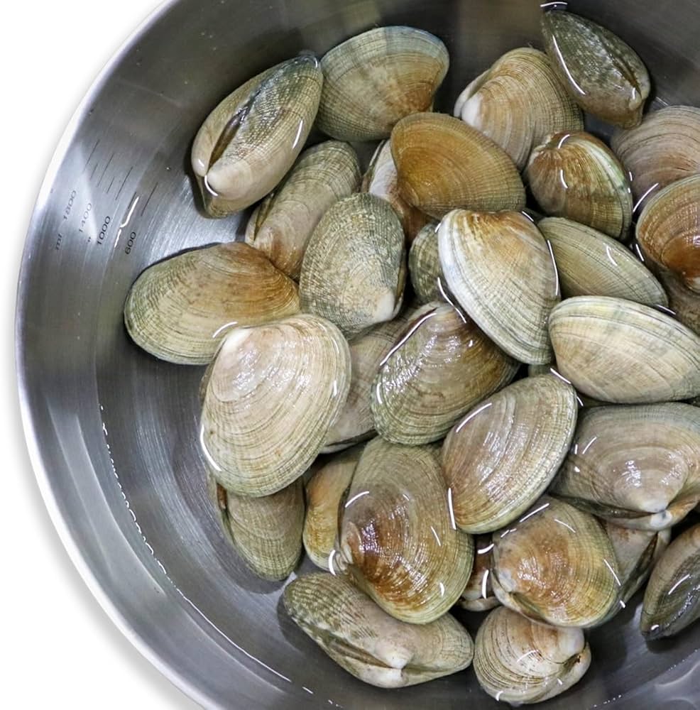 Amazon.co.jp: 【北海道厚岸産 殻付き 活あさり 大中混合 1kg 砂抜き