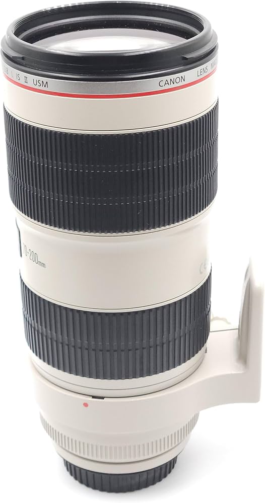 Amazon.co.jp: Canon 望遠ズームレンズ EF70-200mm F2.8L IS II USM