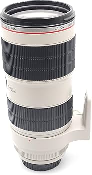 Amazon.co.jp: Canon 望遠ズームレンズ EF70-200mm F2.8L IS II USM
