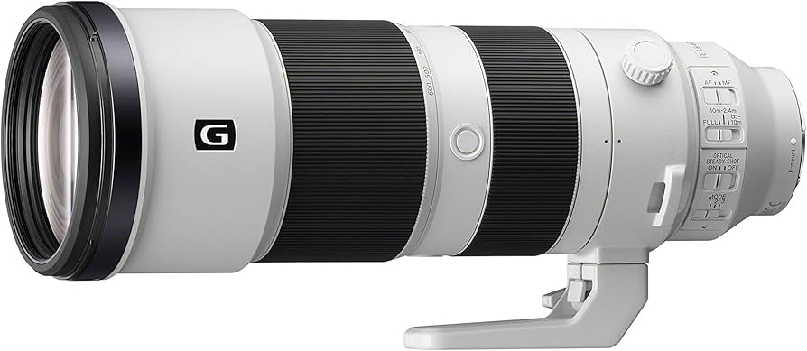 Amazon.com : Sony FE 200-600mm f/5.6-6.3 G OSS Super Telephoto