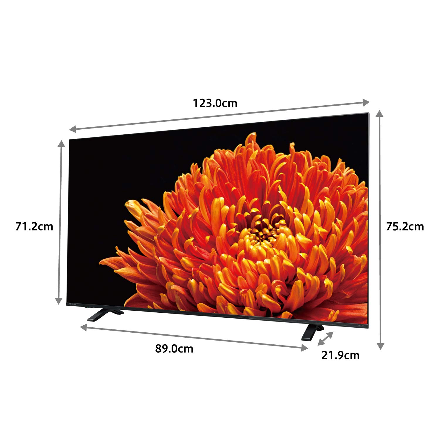 Amazon | 東芝 55V型 液晶テレビ レグザ 55C340X 4Kチューナー内蔵 外