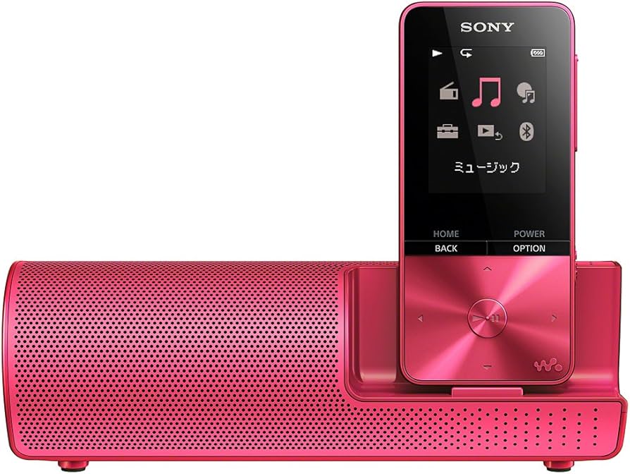 Amazon.co.jp: ソニー ウォークマン Sシリーズ 16GB NW-S315K : MP3