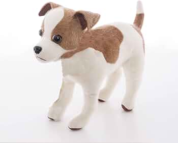 71-Qvzui0+L._AC_UF350,