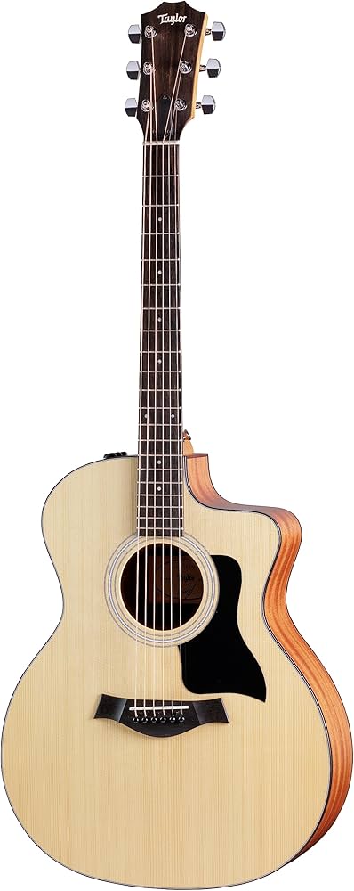 Amazon.com: Taylor 114ce Acoustic Guitar : Musical Instruments