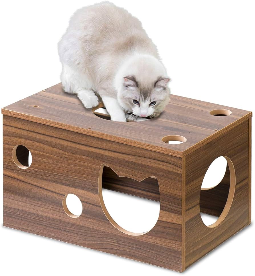 Amazon.co.jp: ottostyle.jp 猫箱 ネコちゃんの本能をくすぐる不思議な