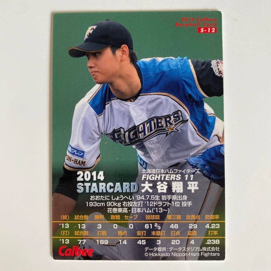 非売品】大谷翔平 2014 セ・パ交流戦入場特典 配布限定カード 二刀流