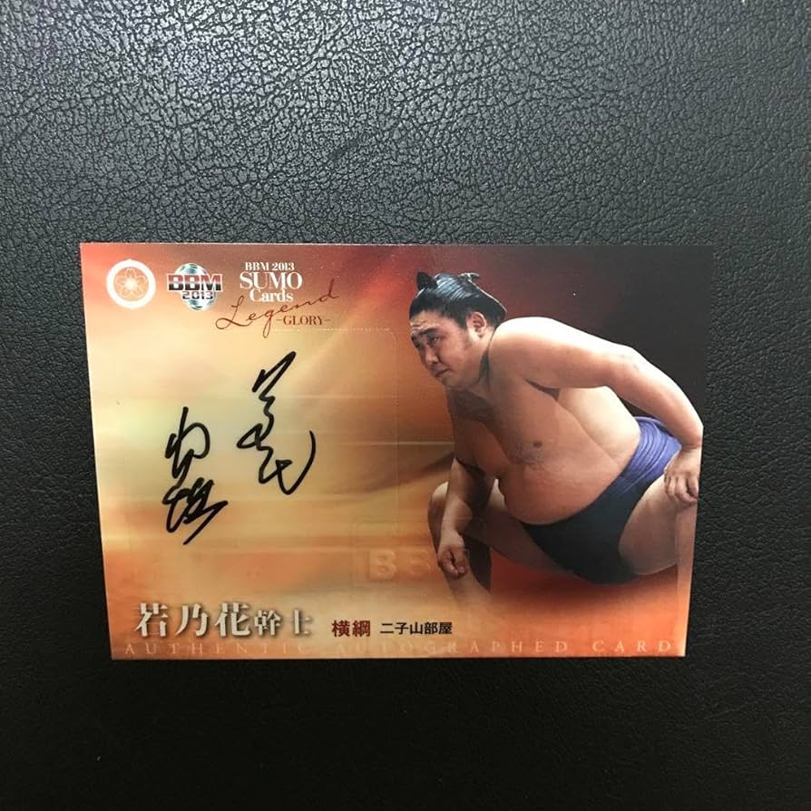 Amazon.co.jp: 故、二代目、若乃花幹士、第56代横綱、B B M大相撲