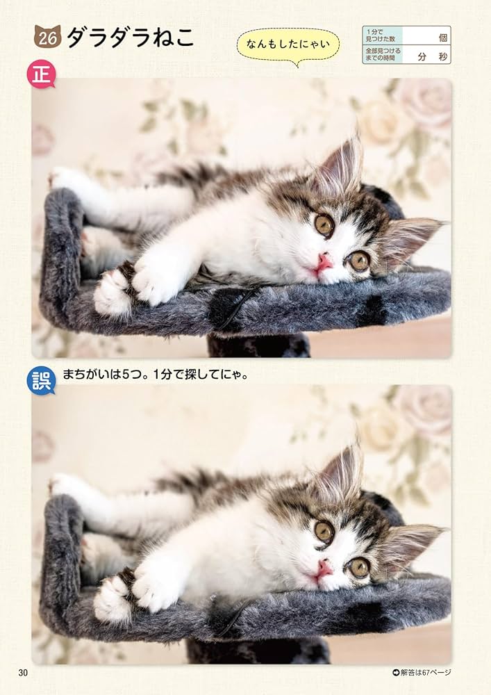 毎日脳活スペシャル ねこのまちがいさがし2 にゃんと1分見るだけ