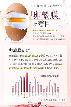 Amazon.co.jp: ヴィワンアークス ラントゥルース 導入美容液 卵殻膜