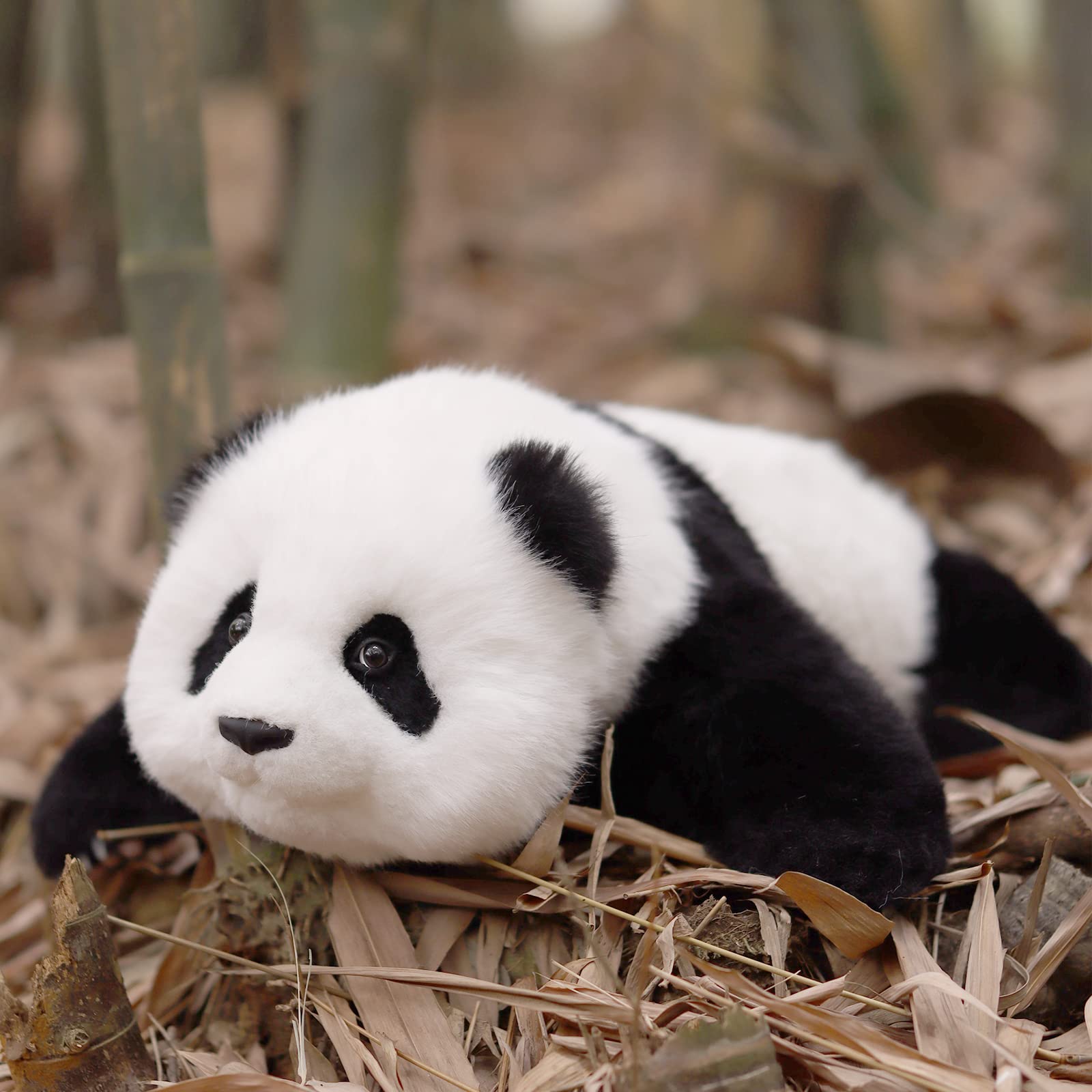 Amazon.com: Chongker Weighted Panda Stuffed Animals, Panda Plush