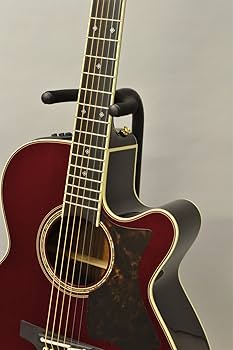 Amazon | Takamine DMP50S WR エレアコギター 島村楽器 x Takamine