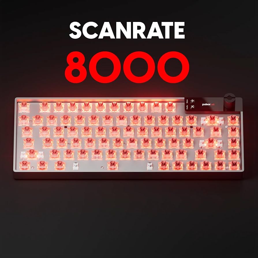 711xnE6TFwL._AC_UF894,