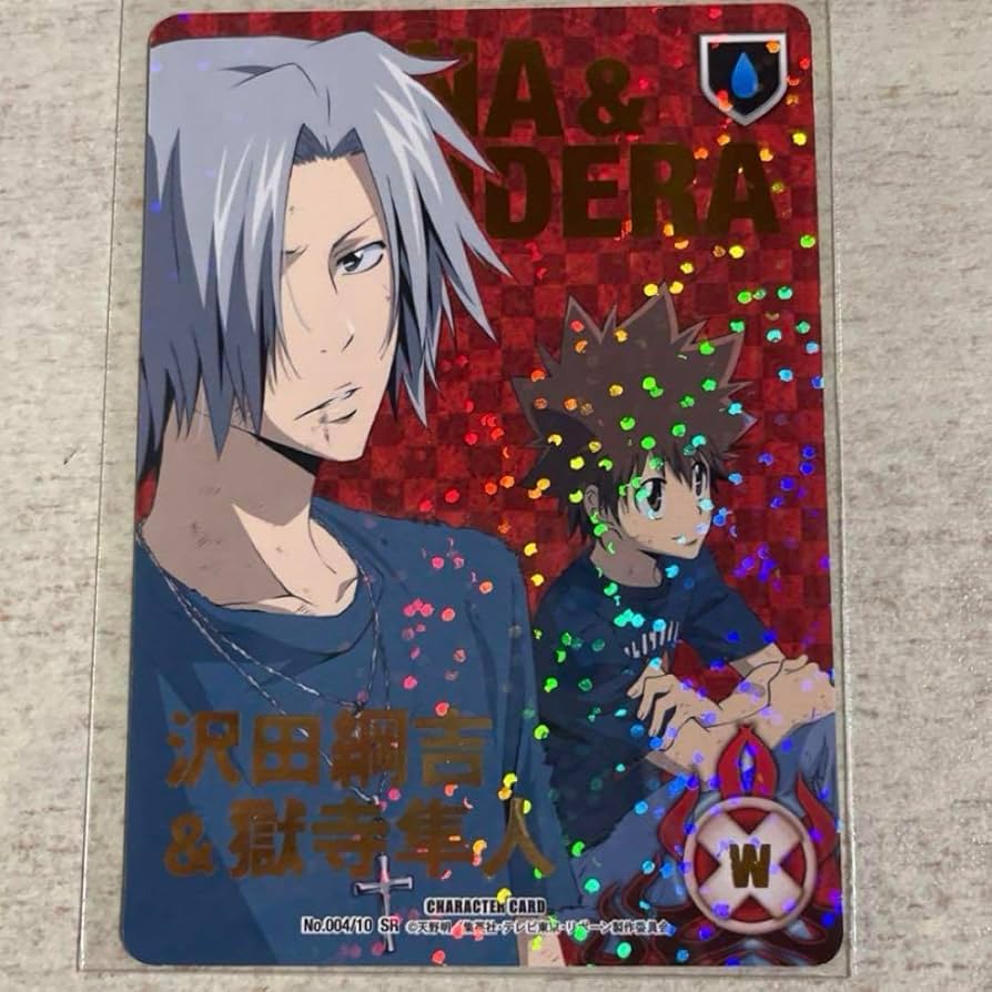 Amazon.co.jp: SR 獄寺隼人 沢田綱吉 カード CCG 家庭教師ヒットマン