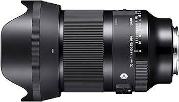 Amazon.com : 35mm F1.4 DG DN for Sony E Mount : Electronics