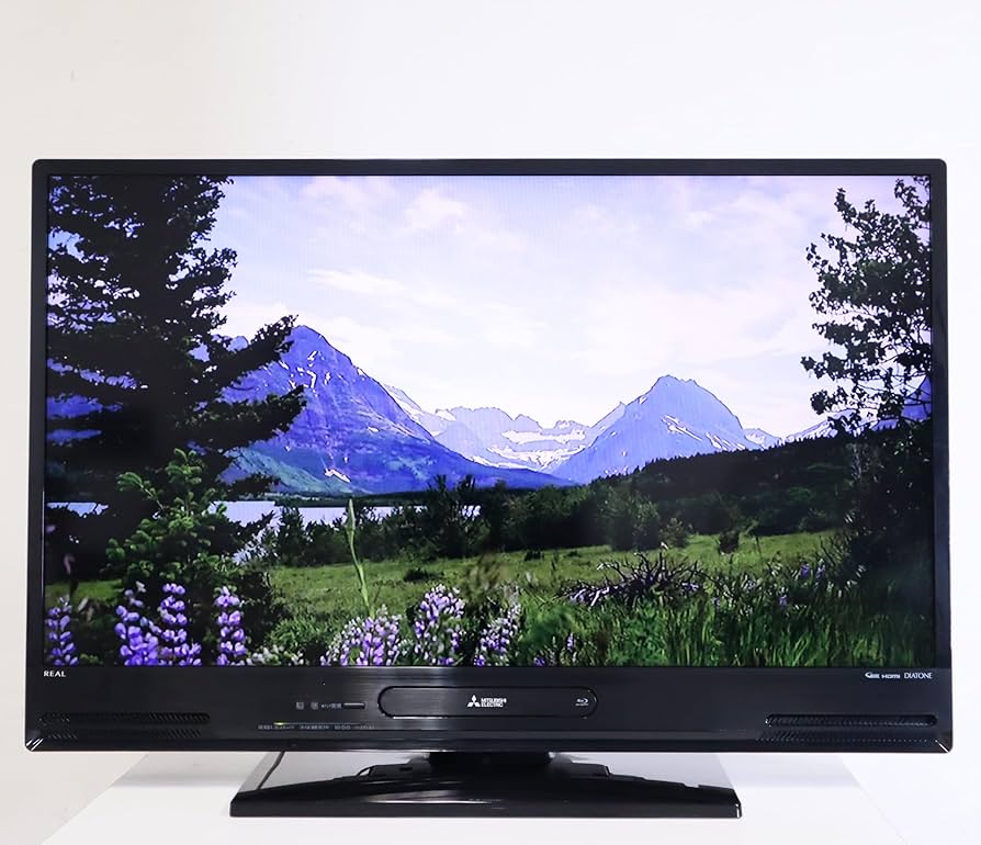三菱 ブルーレイ＆HDD内蔵液晶テレビ 【公式通販】
