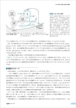 臨床に直結する血栓止血学 改訂2版 | 朝倉 英策 |本 | 通販 | Amazon
