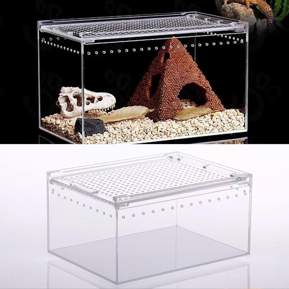 Amazon.co.jp: 爬虫類 飼育ケース レプタイルボックス 透明アクリル