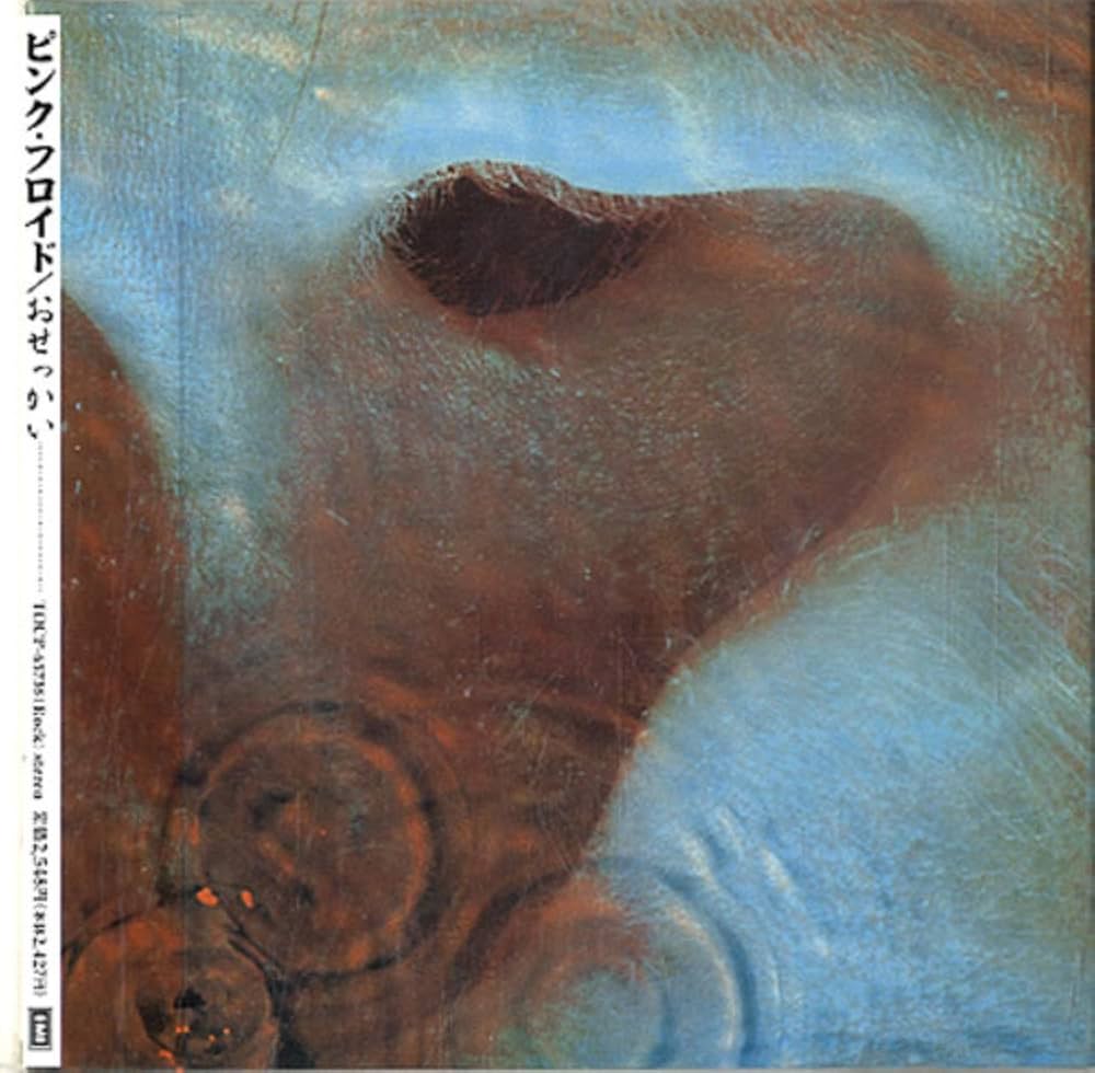 Meddle - Amazon.com Music