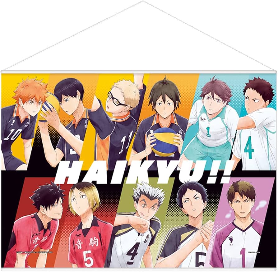 Amazon.co.jp: 一番くじ ハイキュー！！ ラストワン賞 掛式アート