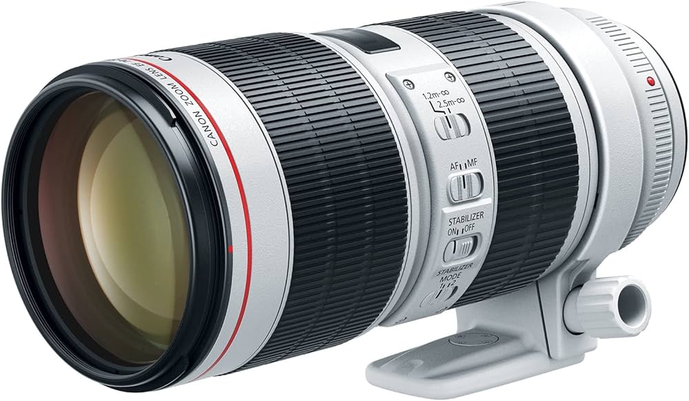 Amazon.co.jp: Canon (キャノン) EF レンズ 70～200mm F値2.8 L IS III