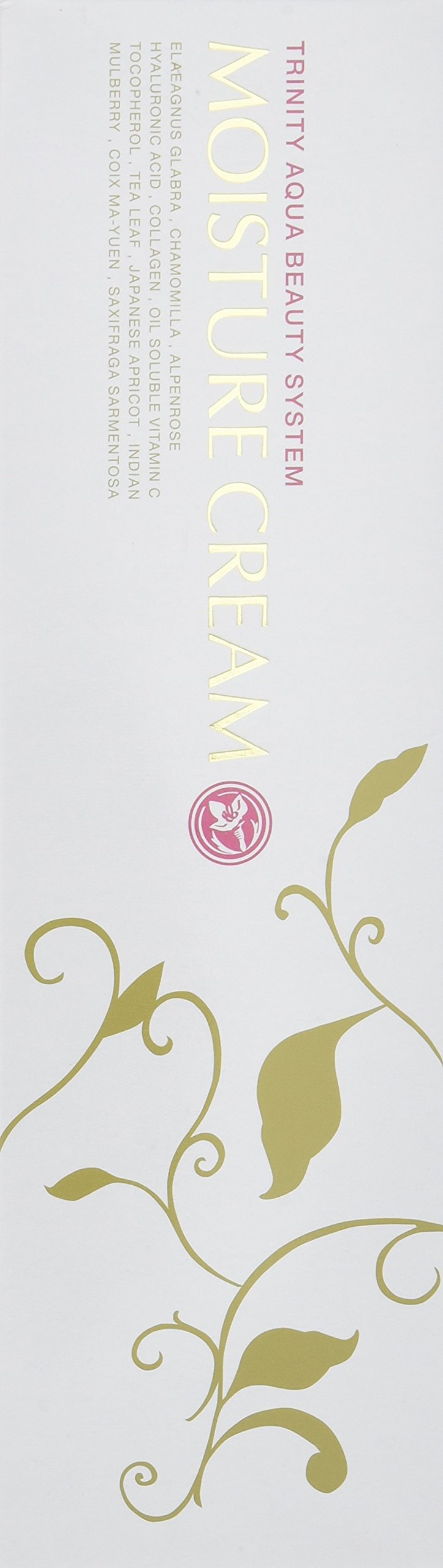 Amazon | AYTYYO かぼく モイスチャークリーム＜195g＞リニューアルの