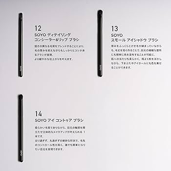 Amazon.co.jp: SOYO エクセレンス セット（14本＋ケース付