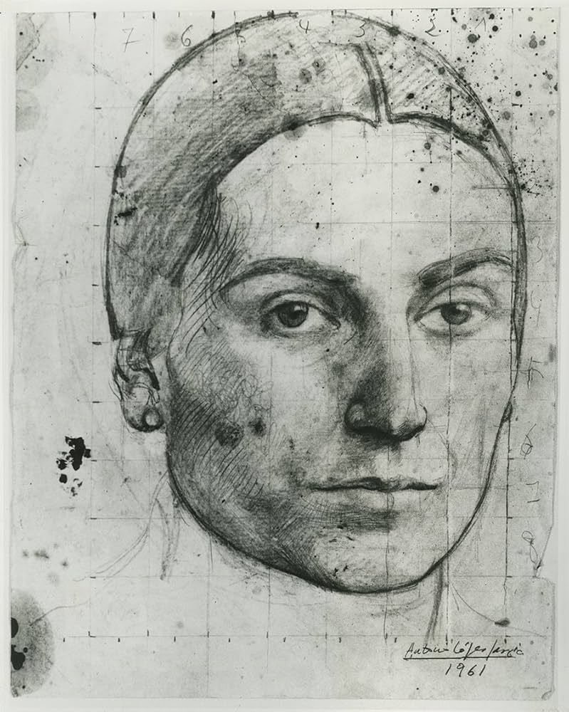 Amazon | Antonio López García: Drawings | López García, Antonio