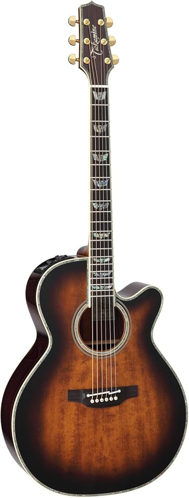 Amazon | TAKAMINE タカミネ DMP500 VTS エレアコ | エレアコギター