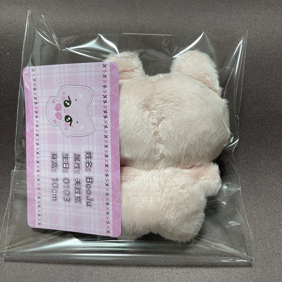 Amazon.co.jp: スングァン ぬいぐるみ 10cm マスター セブチ svt