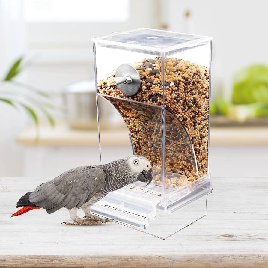 Amazon | 鳥 自動給餌器 鳥フィーダー 餌やり 餌入れ 給餌機 鳥かご