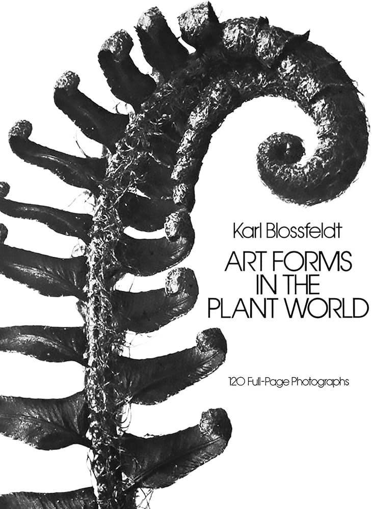 Amazon.com: Art Forms in the Plant World: 120 Full-Page