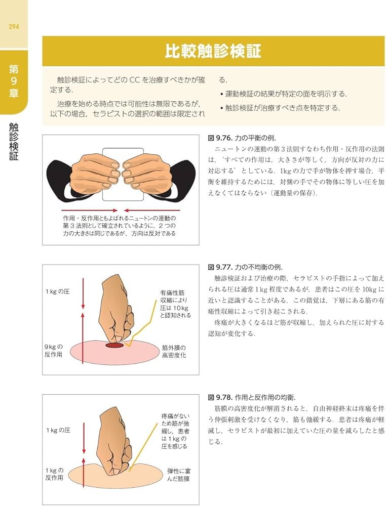 Amazon.co.jp: 筋膜マニピュレーション 実践編 レベル1 原著第2版