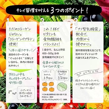 Amazon | VALX バルクス プロテインスムージー [12gのプロテイン＋1日