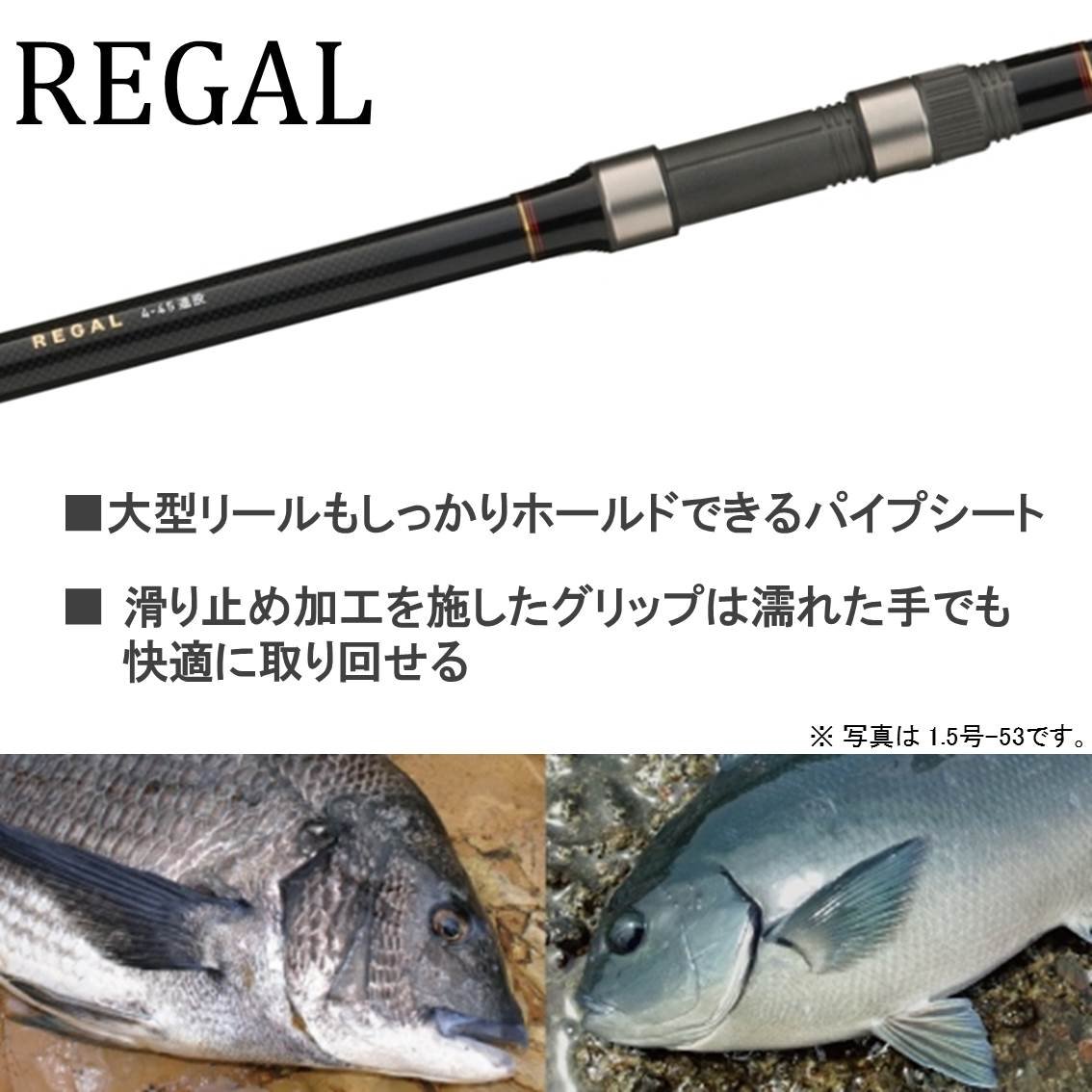 ガイドモデル REGAL 3-45遠投 ダイワ リーガル 3-45遠投【即日発送】(3