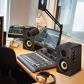 Amazon.com: Sanyun SW206 4” HiFi Bookshelf Speakers with Studio