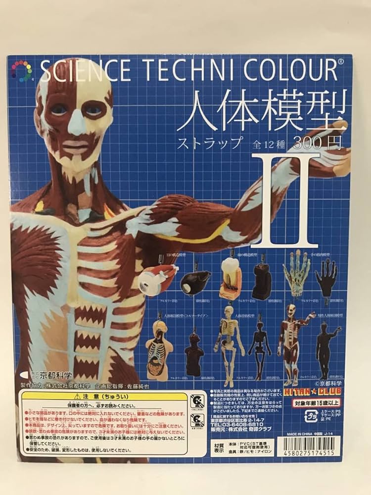 Amazon | サイエンステクニカラー 人体模型ストラップ キタンクラブ DP