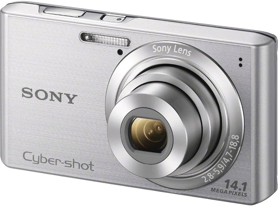 Amazon.com: Sony Cyber-shot DSCW610 14.1 MP Digital Camera with 4x