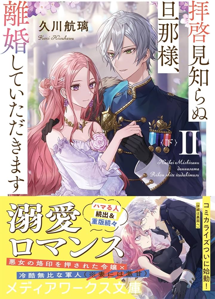拝啓見知らぬ旦那様、離婚していただきますII〈下〉 (メディアワークス