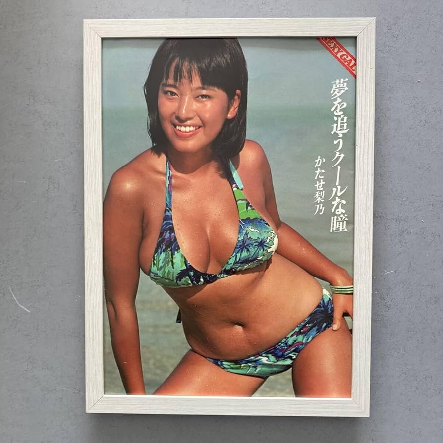 Amazon.co.jp: 額装品 かたせ梨乃 水着 グラビア A4サイズ額入り