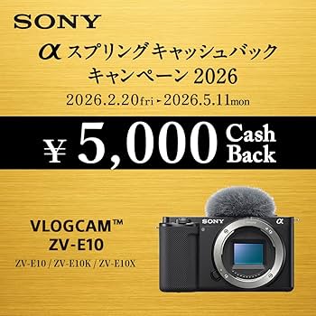 Amazon | SONY(ソニー) Vlog用カメラ レンズ交換式VLOGCAM APS-C