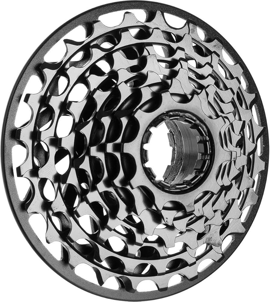 Amazon.com : SRAM XG-795 DH Cassette 7-Speed 10-24T with