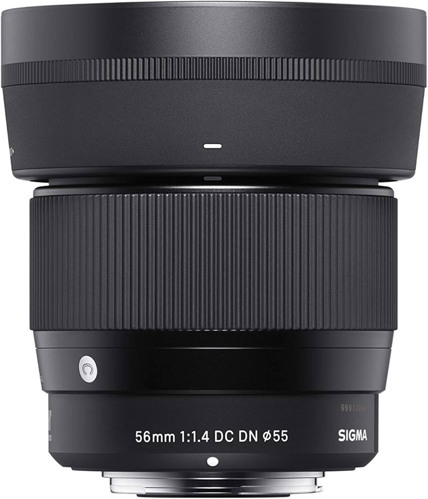 Amazon.com : Sigma 56mm for E-Mount (Sony) Fixed Prime Camera Lens