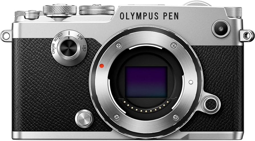 Amazon.com : OM SYSTEM Olympus Pen-F (Body-Only) (Silver