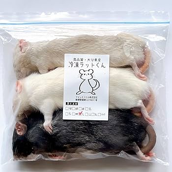 Amazon | 国産冷凍ラット (アダルトL ～210g 3匹入り) | 冷凍ラット
