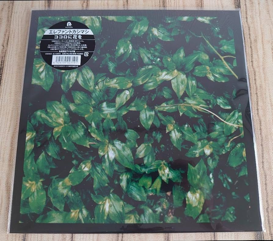 Amazon.co.jp: エレファントカシマシ ココロに花を レコード アナログ