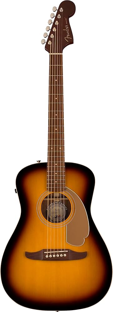 Amazon.co.jp: Fender フェンダー エレアコギター Malibu Player