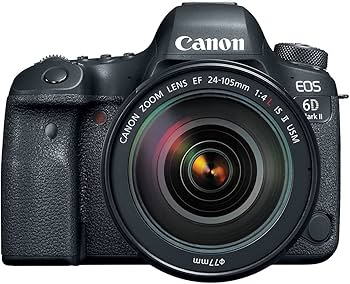 Amazon.com : Canon EOS 6D Mark II DSLR Camera with 24-105mm f/4L