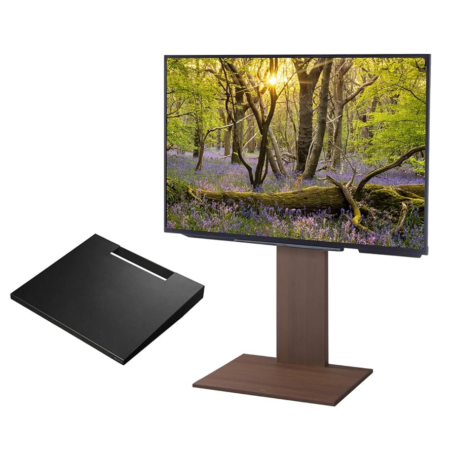 EQUALS 壁寄せテレビスタンド WALL V2 ロータイプ オールブラック