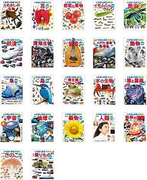 71zeYg3sKDL._AC_UF350,