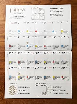 Amazon | 13の月の暦 ヨコ（白い倍音の魔法使いの年 2023.7.26～2024.7